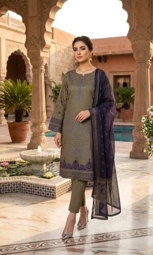 3 pcs pakistani shalwar kameez